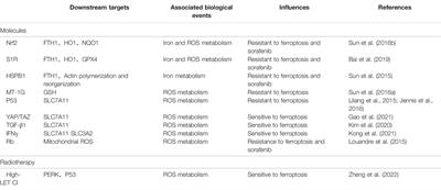 The Critical Role of Ferroptosis in Hepatocellular Carcinoma